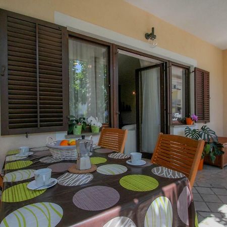 Apartment Sanja Novigrad  Zewnętrze zdjęcie