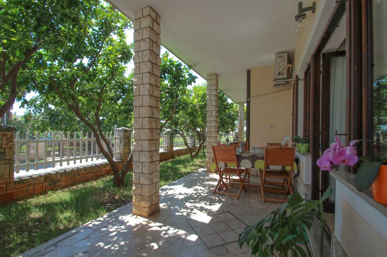 Apartment Sanja Novigrad  Zewnętrze zdjęcie