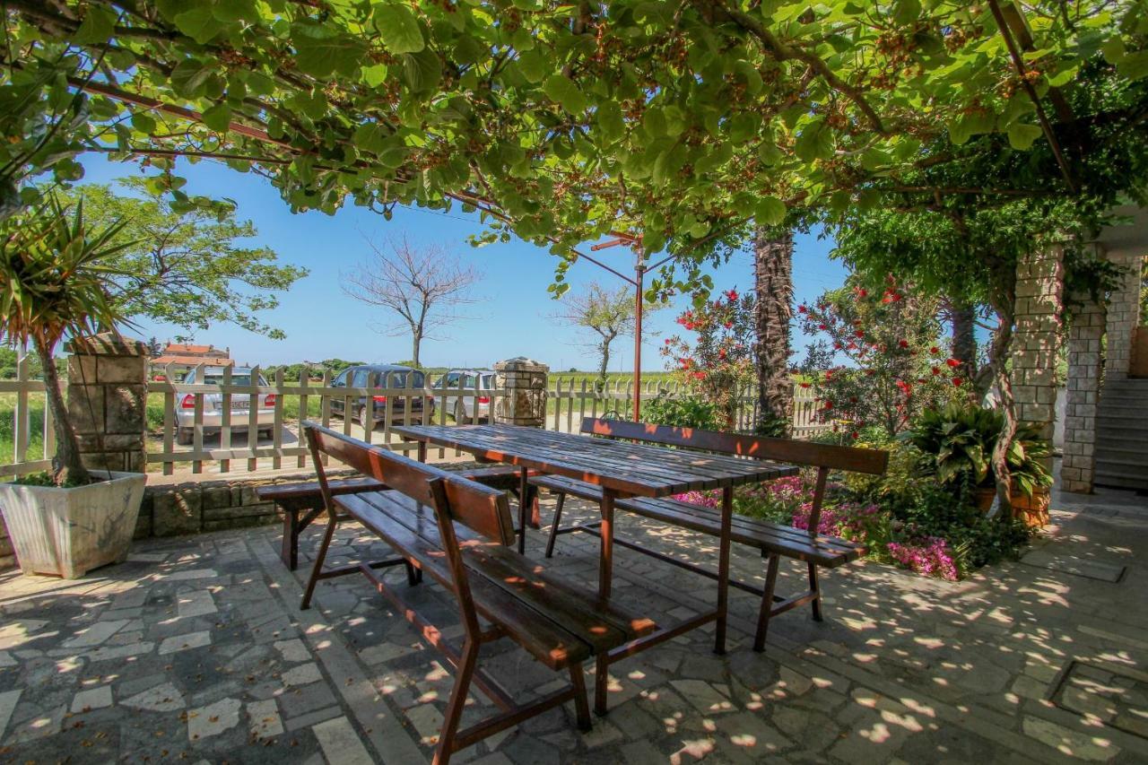 Apartment Sanja Novigrad  Zewnętrze zdjęcie