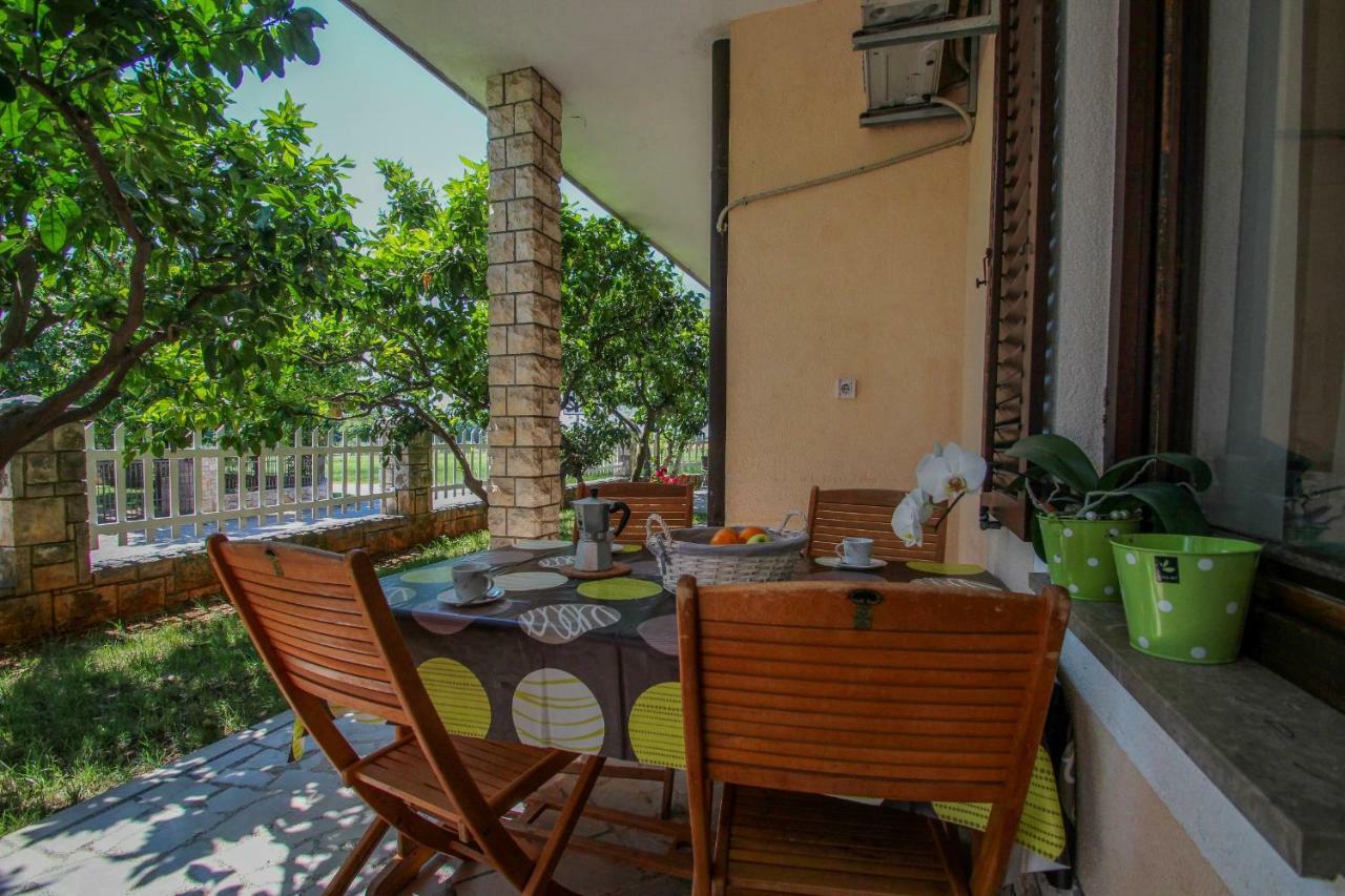 Apartment Sanja Novigrad  Zewnętrze zdjęcie