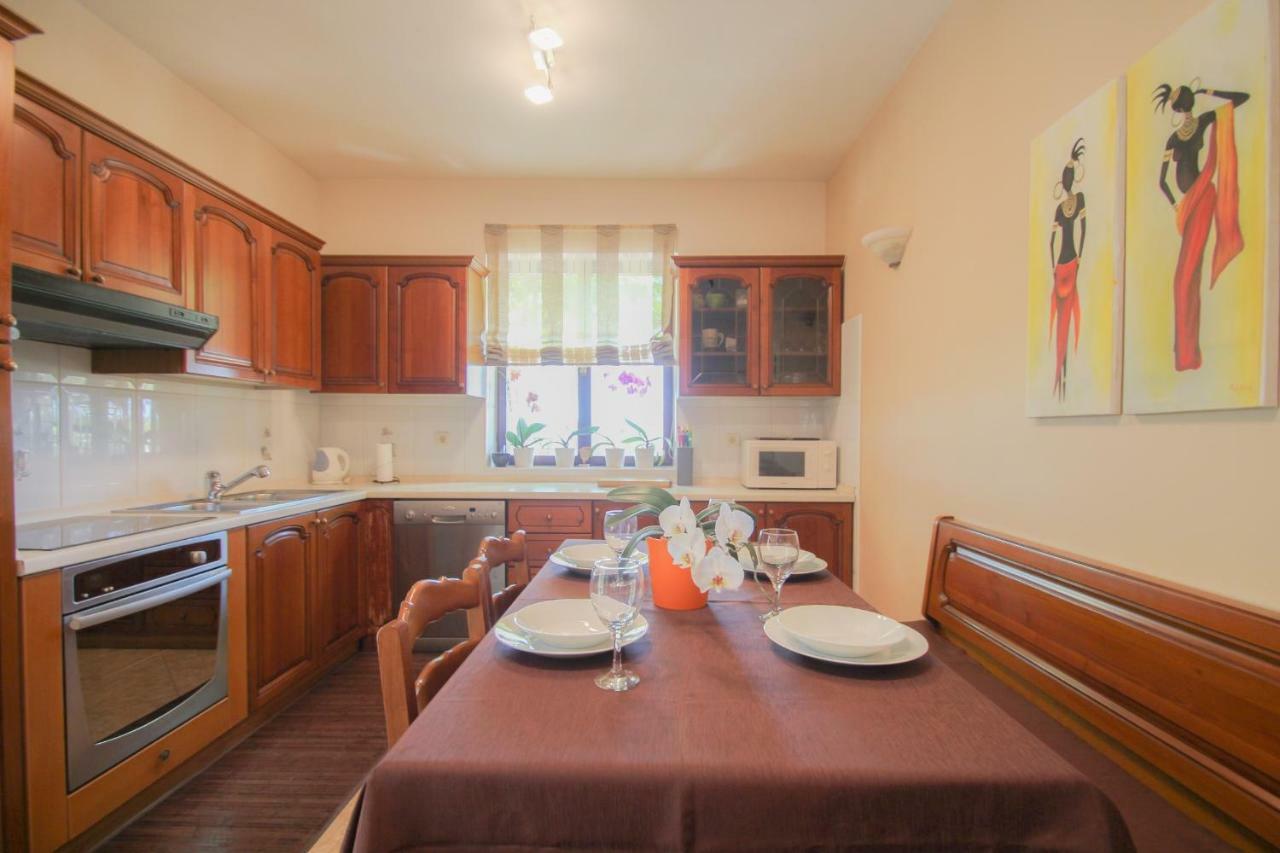 Apartment Sanja Novigrad  Zewnętrze zdjęcie