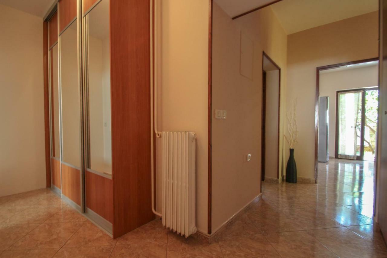 Apartment Sanja Novigrad  Zewnętrze zdjęcie