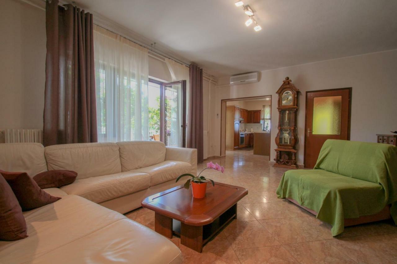 Apartment Sanja Novigrad  Zewnętrze zdjęcie